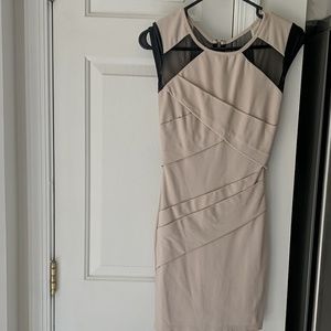 beige sexy Arden B dress